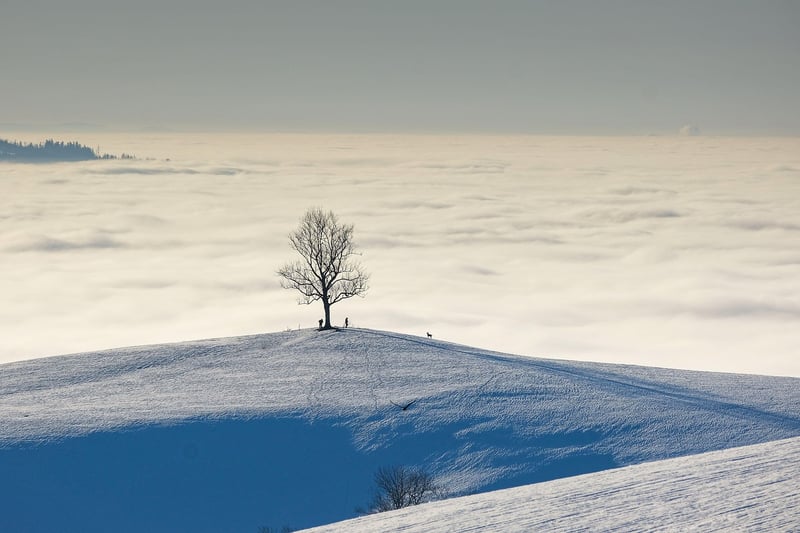 Otherworldly Scenery